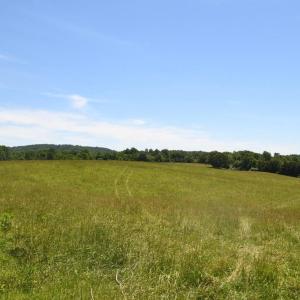 Photo #2 of SLATE MILLS ROAD, SPERRYVILLE, VA 100.2 acres