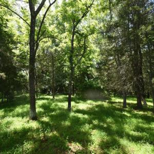 Photo #9 of SLATE MILLS ROAD, SPERRYVILLE, VA 100.2 acres