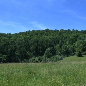 Photo #10 of SLATE MILLS ROAD, SPERRYVILLE, VA 100.2 acres