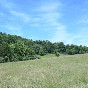 Photo #11 of SLATE MILLS ROAD, SPERRYVILLE, VA 100.2 acres