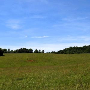 Photo #12 of SLATE MILLS ROAD, SPERRYVILLE, VA 100.2 acres