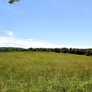 Photo #6 of SLATE MILLS ROAD, SPERRYVILLE, VA 100.2 acres