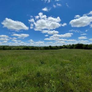Photo #3 of 0 LAWSON LANE 22-19C2, CULPEPER, VA 55.9 acres
