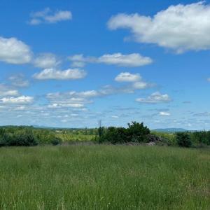 Photo #4 of 0 LAWSON LANE 22-19C2, CULPEPER, VA 55.9 acres