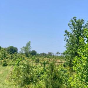Photo #3 of 5326 ZACHARY TAYLOR HWY, MINERAL, VA 16.7 acres
