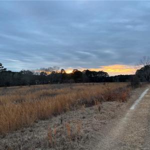 Photo #6 of TBD Hwy 87/ Broadway Rd., Sanford, NC 7.8 acres