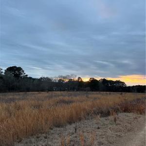 Photo #2 of TBD Hwy 87/ Broadway Rd., Sanford, NC 7.8 acres