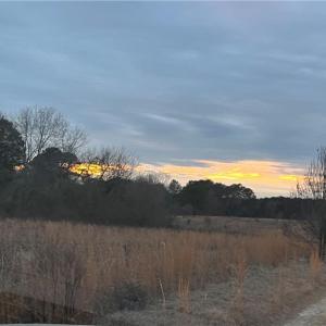 Photo #4 of TBD Hwy 87/ Broadway Rd., Sanford, NC 7.8 acres