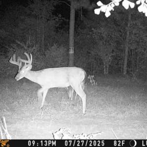 Photo #3 of Allen, Lumberton, NC 65.2 acres