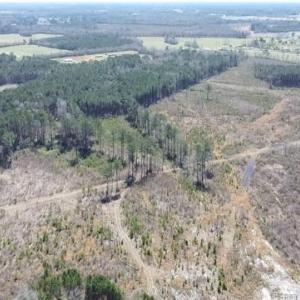 Photo #7 of Allen, Lumberton, NC 65.2 acres