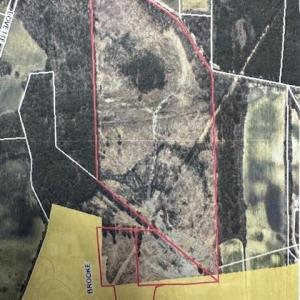 Photo #18 of Allen, Lumberton, NC 65.2 acres