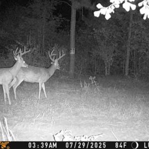 Photo #1 of Allen, Lumberton, NC 65.2 acres