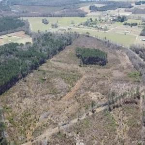 Photo #14 of Allen, Lumberton, NC 65.2 acres