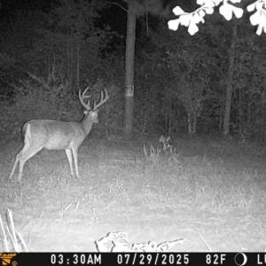 Photo #2 of Allen, Lumberton, NC 65.2 acres