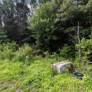 Photo #8 of 4720 MASSAPONAX CHURCH RD, FREDERICKSBURG, VA 46.8 acres