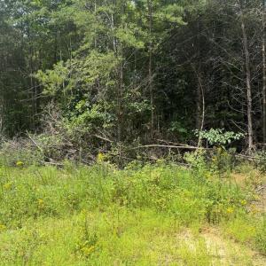 Photo #2 of BUCKNER RD, MINERAL, VA 10.0 acres