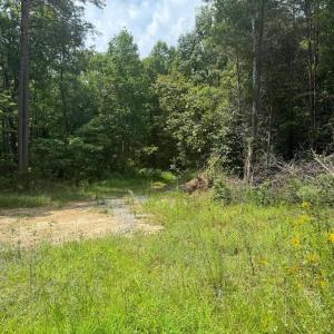 Photo #3 of BUCKNER RD, MINERAL, VA 10.0 acres