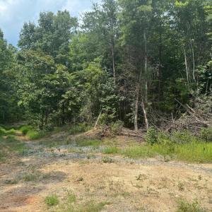 Photo #4 of BUCKNER RD, MINERAL, VA 10.0 acres