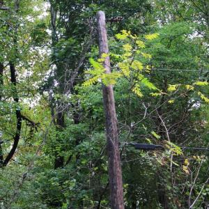 Photo #3 of 1066 S LAKEVIEW DR, STANLEY, VA 1.8 acres