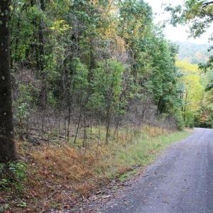 Photo #4 of 1066 S LAKEVIEW DR, STANLEY, VA 1.8 acres