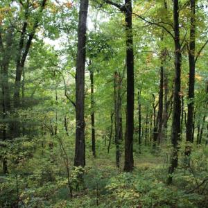 Photo #8 of 1066 S LAKEVIEW DR, STANLEY, VA 1.8 acres