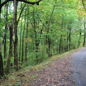 Photo #10 of 1066 S LAKEVIEW DR, STANLEY, VA 1.8 acres