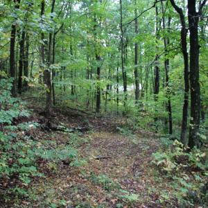 Photo #14 of 1066 S LAKEVIEW DR, STANLEY, VA 1.8 acres
