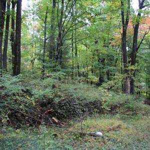 Photo #16 of 1066 S LAKEVIEW DR, STANLEY, VA 1.8 acres