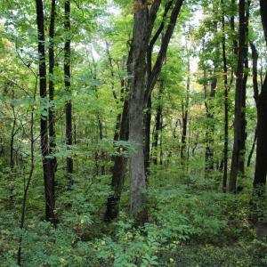Photo #18 of 1066 S LAKEVIEW DR, STANLEY, VA 1.8 acres