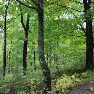 Photo #20 of 1066 S LAKEVIEW DR, STANLEY, VA 1.8 acres