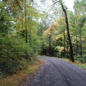 Photo #15 of 1066 S LAKEVIEW DR, STANLEY, VA 1.8 acres
