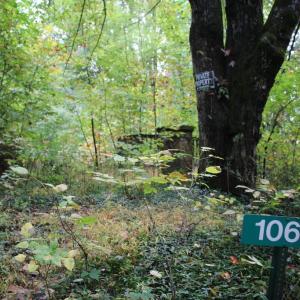 Photo #22 of 1066 S LAKEVIEW DR, STANLEY, VA 1.8 acres