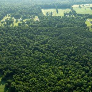 Photo #2 of SILLAMON, GOLDVEIN, VA 53.0 acres