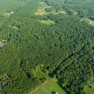 Photo #3 of SILLAMON, GOLDVEIN, VA 53.0 acres