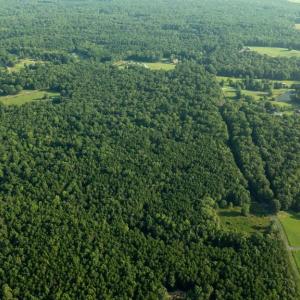 Photo #4 of SILLAMON, GOLDVEIN, VA 53.0 acres