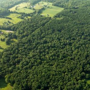 Photo #5 of SILLAMON, GOLDVEIN, VA 53.0 acres