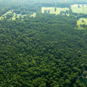Photo #6 of SILLAMON, GOLDVEIN, VA 53.0 acres