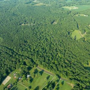 Photo #7 of SILLAMON, GOLDVEIN, VA 53.0 acres