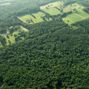 Photo #8 of SILLAMON, GOLDVEIN, VA 53.0 acres