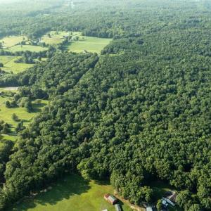 Photo #9 of SILLAMON, GOLDVEIN, VA 53.0 acres