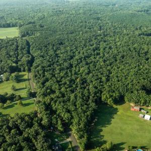 Photo #10 of SILLAMON, GOLDVEIN, VA 53.0 acres