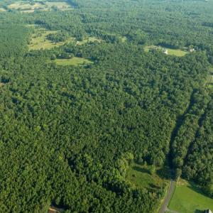 Photo #11 of SILLAMON, GOLDVEIN, VA 53.0 acres