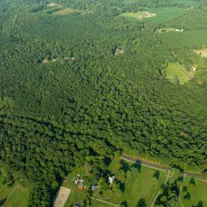 Photo #12 of SILLAMON, GOLDVEIN, VA 53.0 acres