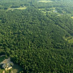Photo #13 of SILLAMON, GOLDVEIN, VA 53.0 acres