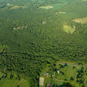 Photo #14 of SILLAMON, GOLDVEIN, VA 53.0 acres