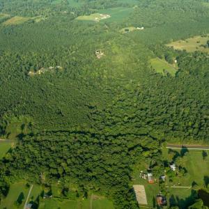 Photo #15 of SILLAMON, GOLDVEIN, VA 53.0 acres