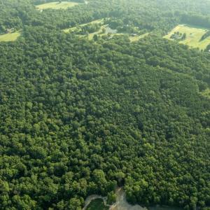 Photo #16 of SILLAMON, GOLDVEIN, VA 53.0 acres