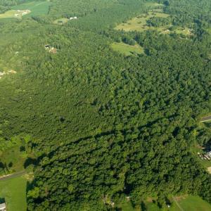 Photo #17 of SILLAMON, GOLDVEIN, VA 53.0 acres