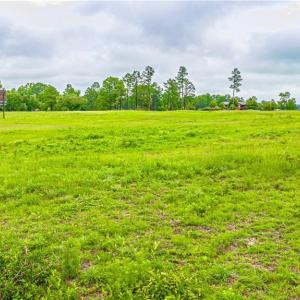 Photo #8 of TBD US -1, Vass, NC 5.2 acres