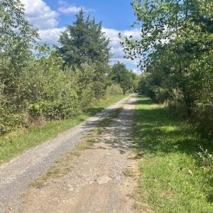 Photo #3 of GREENWAY LANE, LURAY, VA 0.7 acres